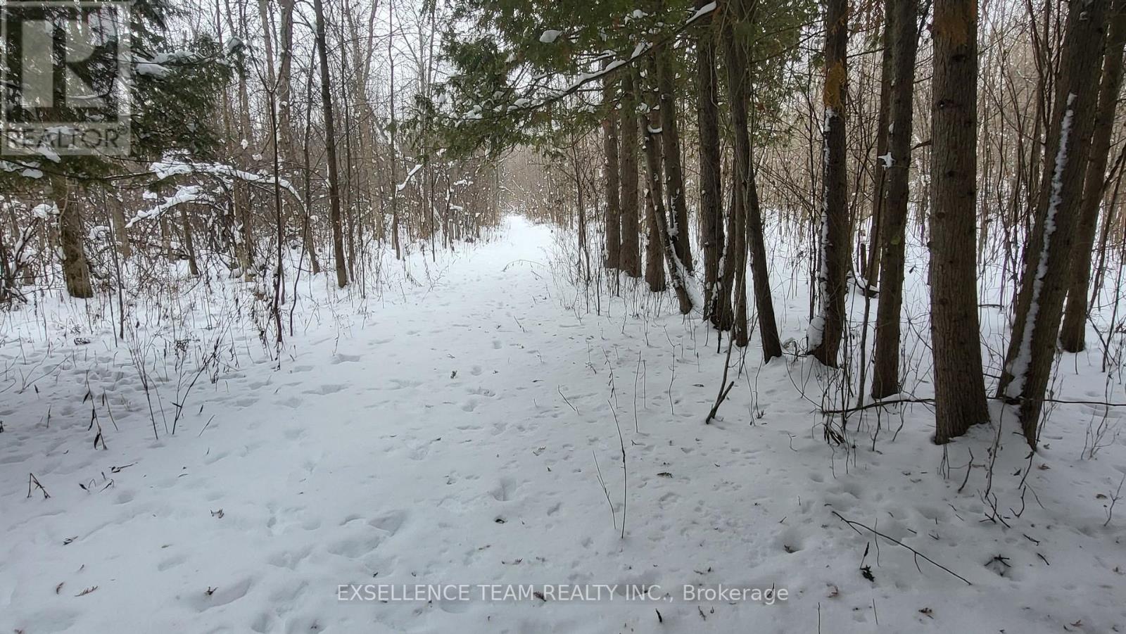 0 Raymond Road, South Stormont, Ontario  K0C 1Y0 - Photo 3 - X12613674