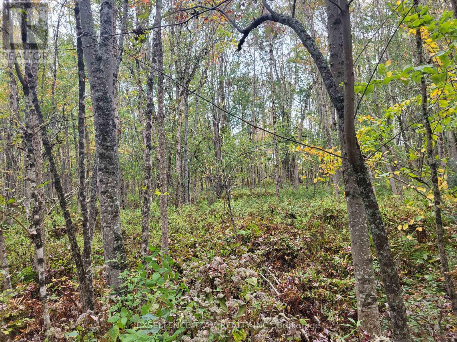 0 Raymond Road, South Stormont, Ontario  K0C 1Y0 - Photo 32 - X12613674