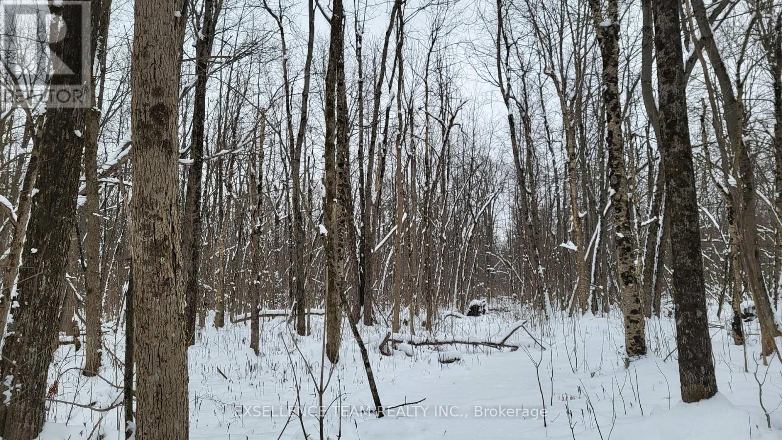 0 Raymond Road, South Stormont, Ontario  K0C 1Y0 - Photo 8 - X12613674