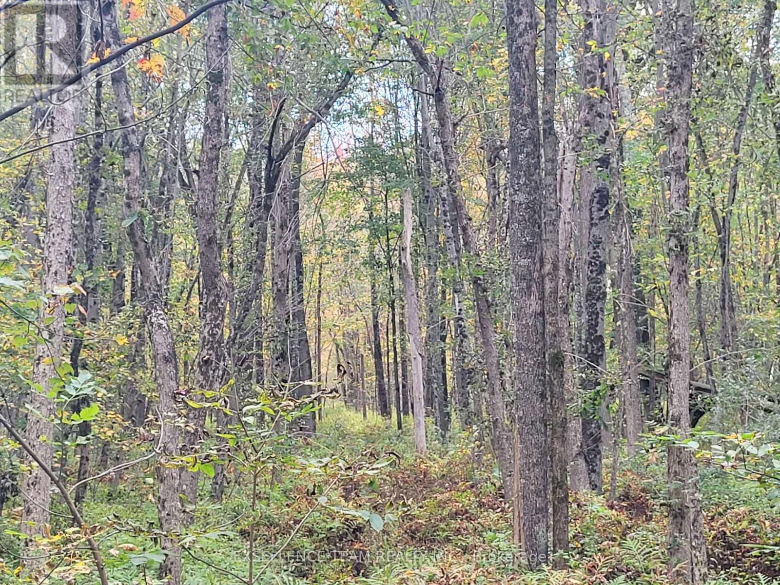 0 Raymond Road, South Stormont, Ontario  K0C 1Y0 - Photo 38 - X12613674