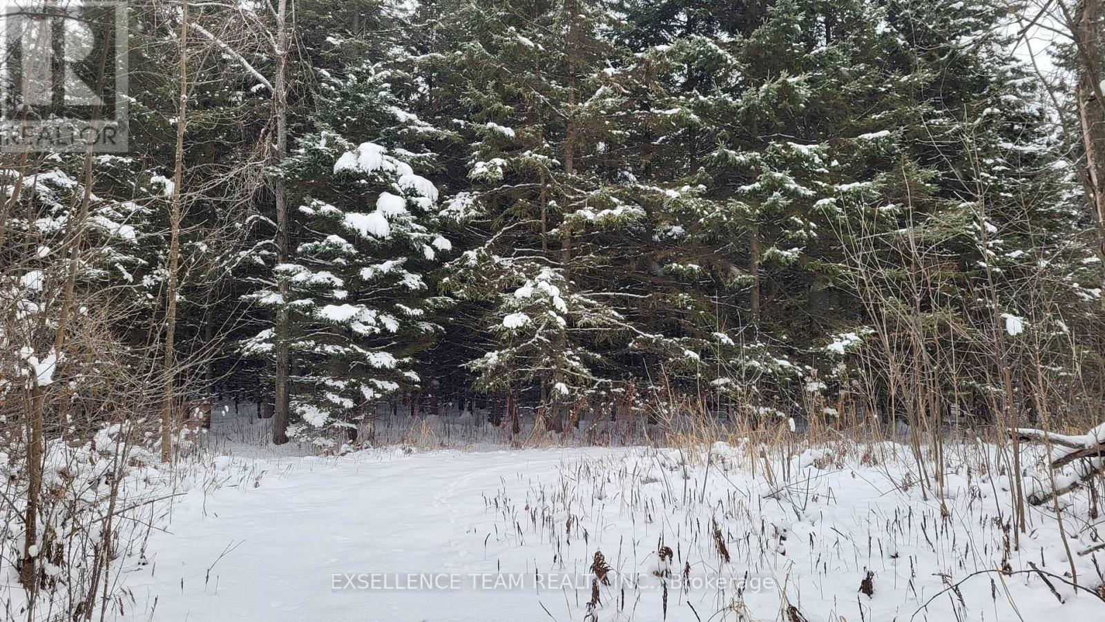 0 Raymond Road, South Stormont, Ontario  K0C 1Y0 - Photo 4 - X12613674