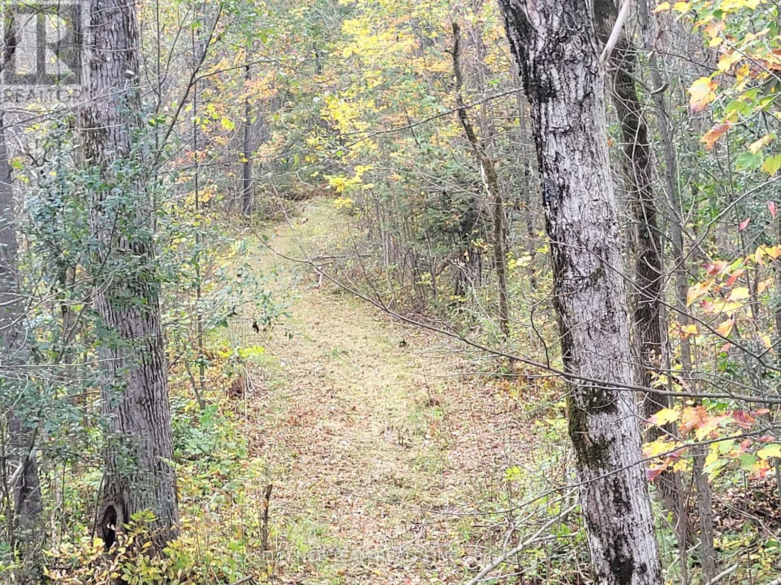 0 Raymond Road, South Stormont, Ontario  K0C 1Y0 - Photo 40 - X12613674