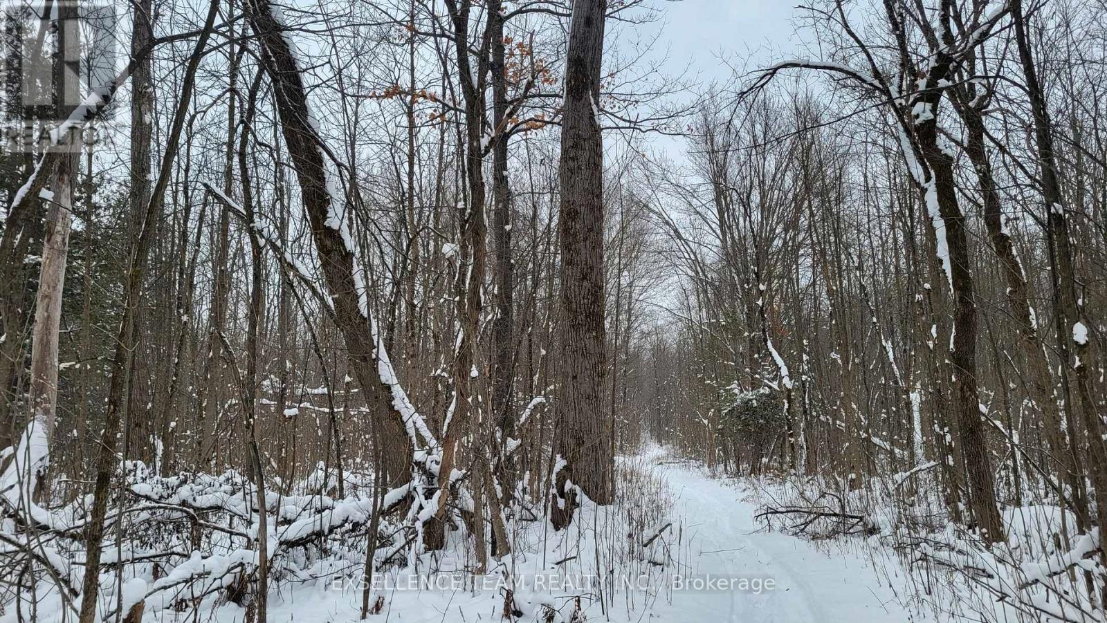 0 Raymond Road, South Stormont, Ontario  K0C 1Y0 - Photo 6 - X12613674