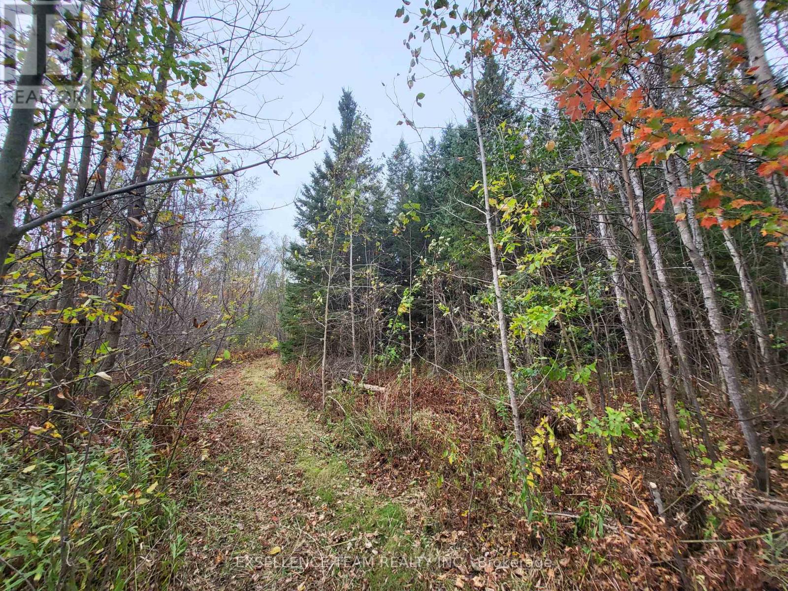 0 Raymond Road, South Stormont, Ontario  K0C 1Y0 - Photo 45 - X12613674