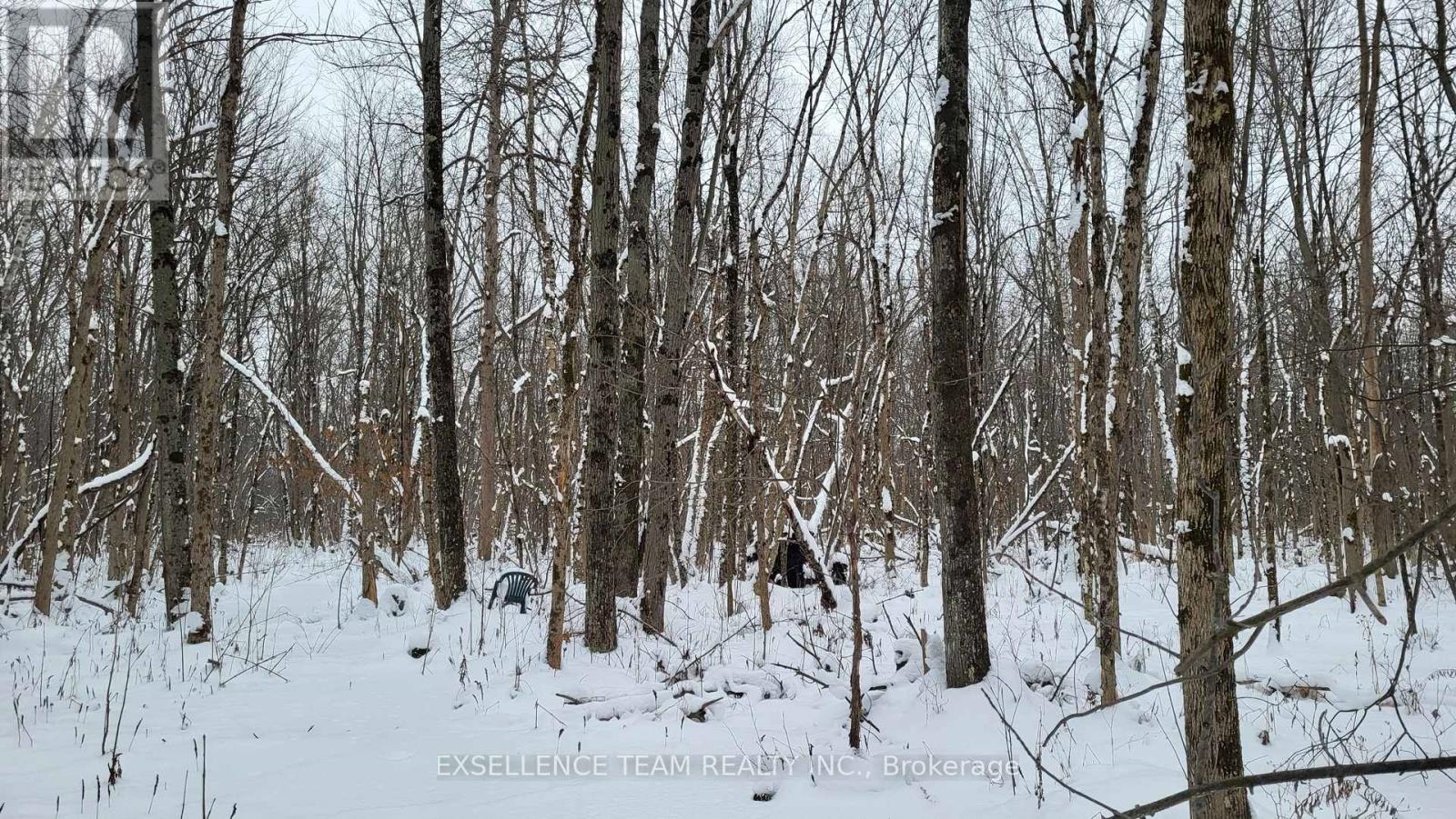 0 Raymond Road, South Stormont, Ontario  K0C 1Y0 - Photo 9 - X12613674