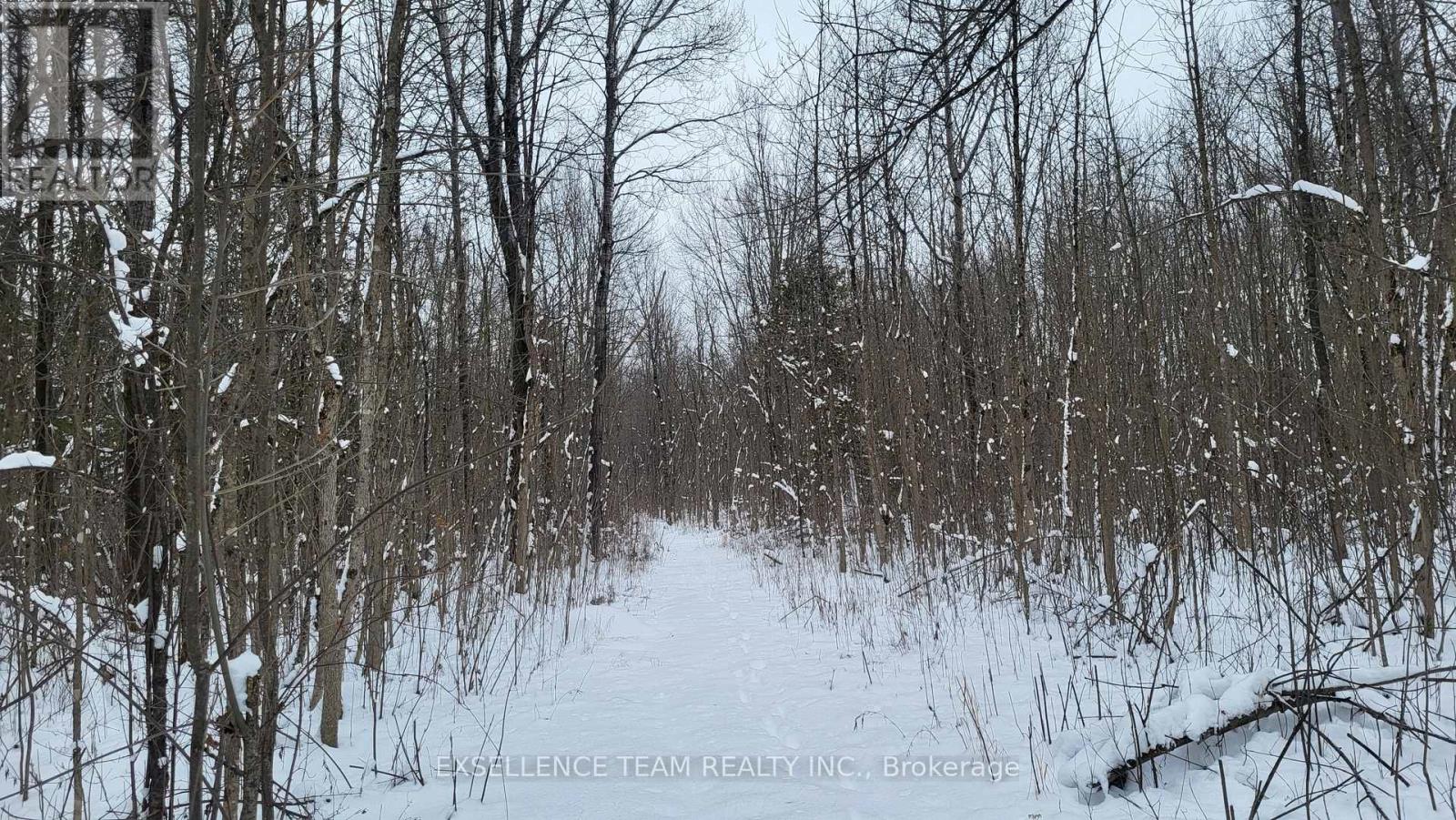 0 Raymond Road, South Stormont, Ontario  K0C 1Y0 - Photo 5 - X12613674