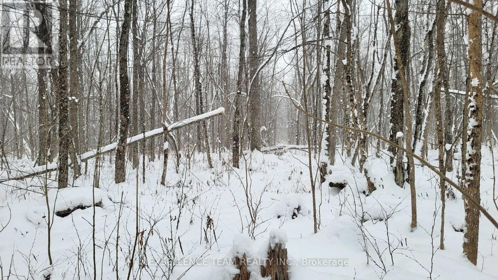 0 Raymond Road, South Stormont, Ontario  K0C 1Y0 - Photo 7 - X12613674