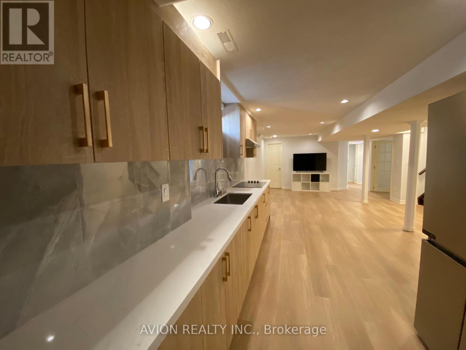 Basement - 29 Falling River Drive, Richmond Hill, Ontario  L4S 2R1 - Photo 7 - N12650848