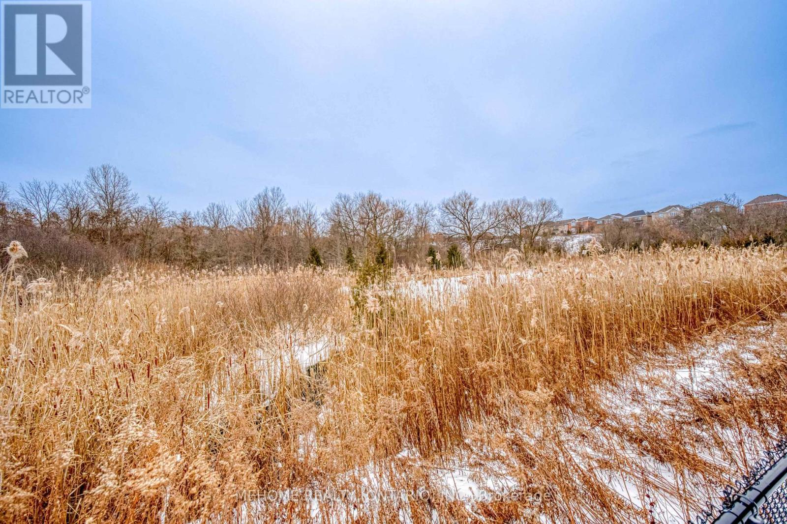 51 Bridgepointe Court, Aurora, Ontario  L4G 3H8 - Photo 43 - N12617356