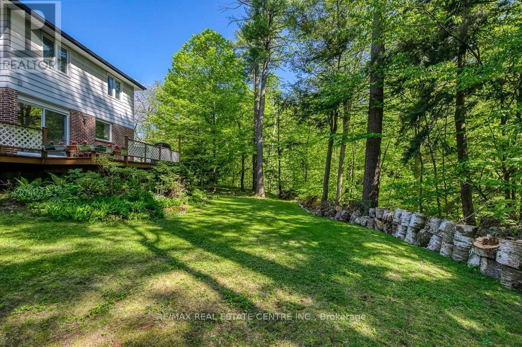 Legal Basement Unit - 1390 Conliffe Court, Mississauga, Ontario  L5C 1R3 - Photo 4 - W12650914