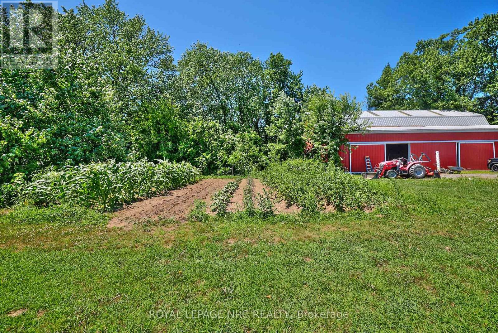 1171 Mcnab Road, Niagara-On-The-Lake, Ontario  L0S 1J0 - Photo 4 - X12650934