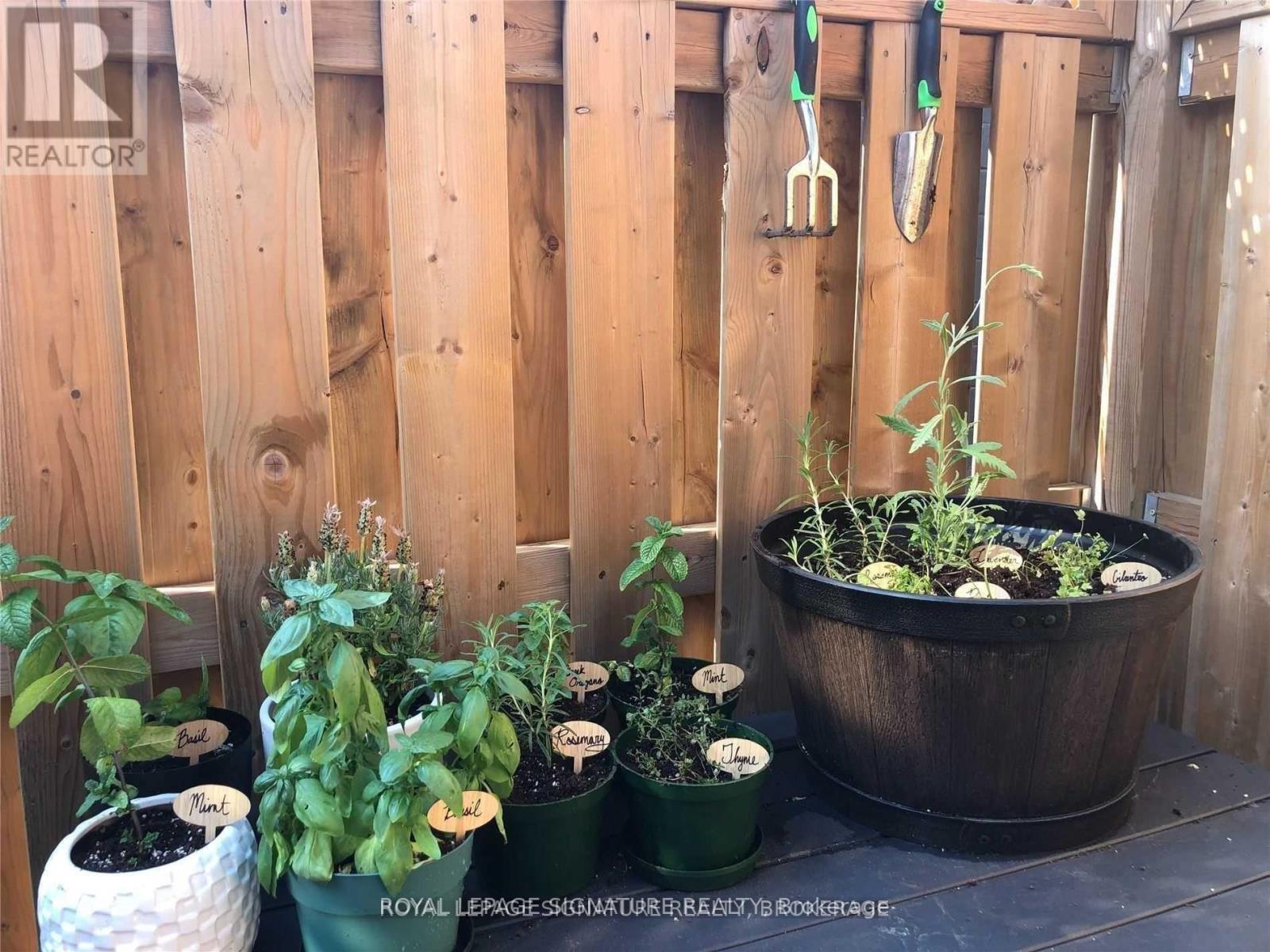 Lower - 92 Mitchell Avenue, Toronto, Ontario  M6J 1C1 - Photo 13 - C12651068