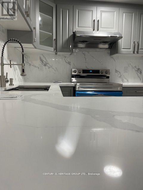 Bsmt - 3937 Worthview Place, Mississauga, Ontario  L5N 6S7 - Photo 11 - W12651072