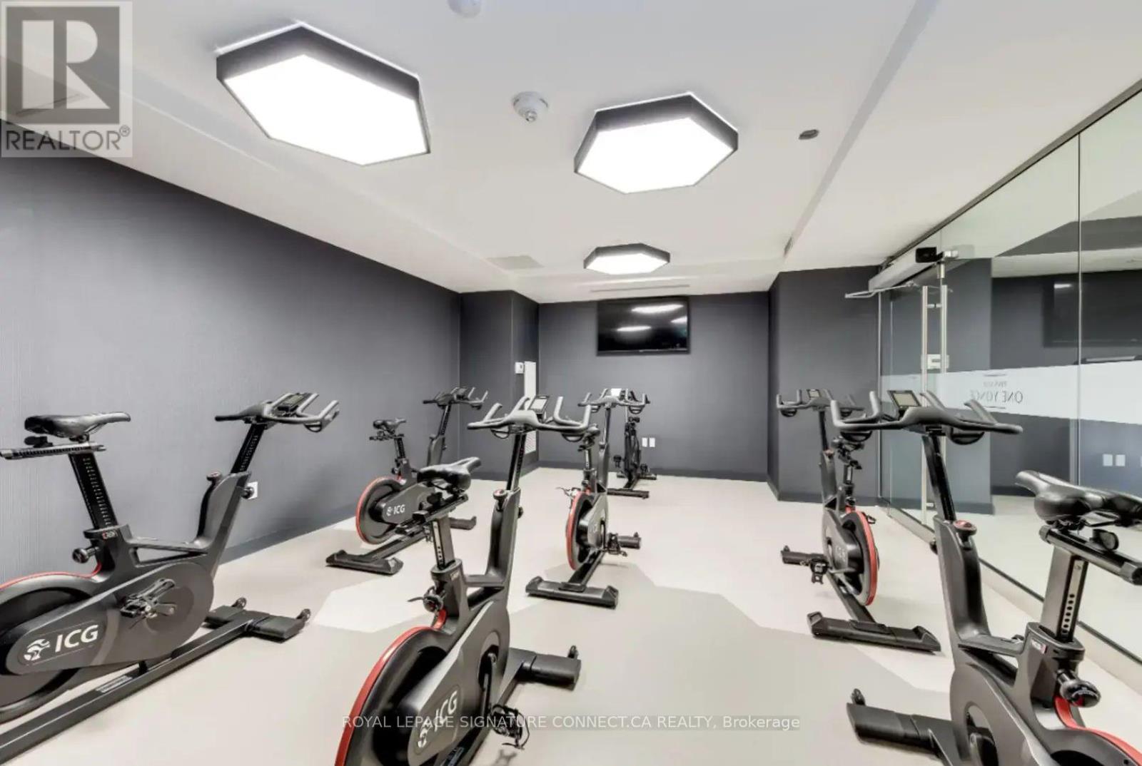 2006 - 28 Freeland Street, Toronto, Ontario  M5E 0E3 - Photo 12 - C12651204