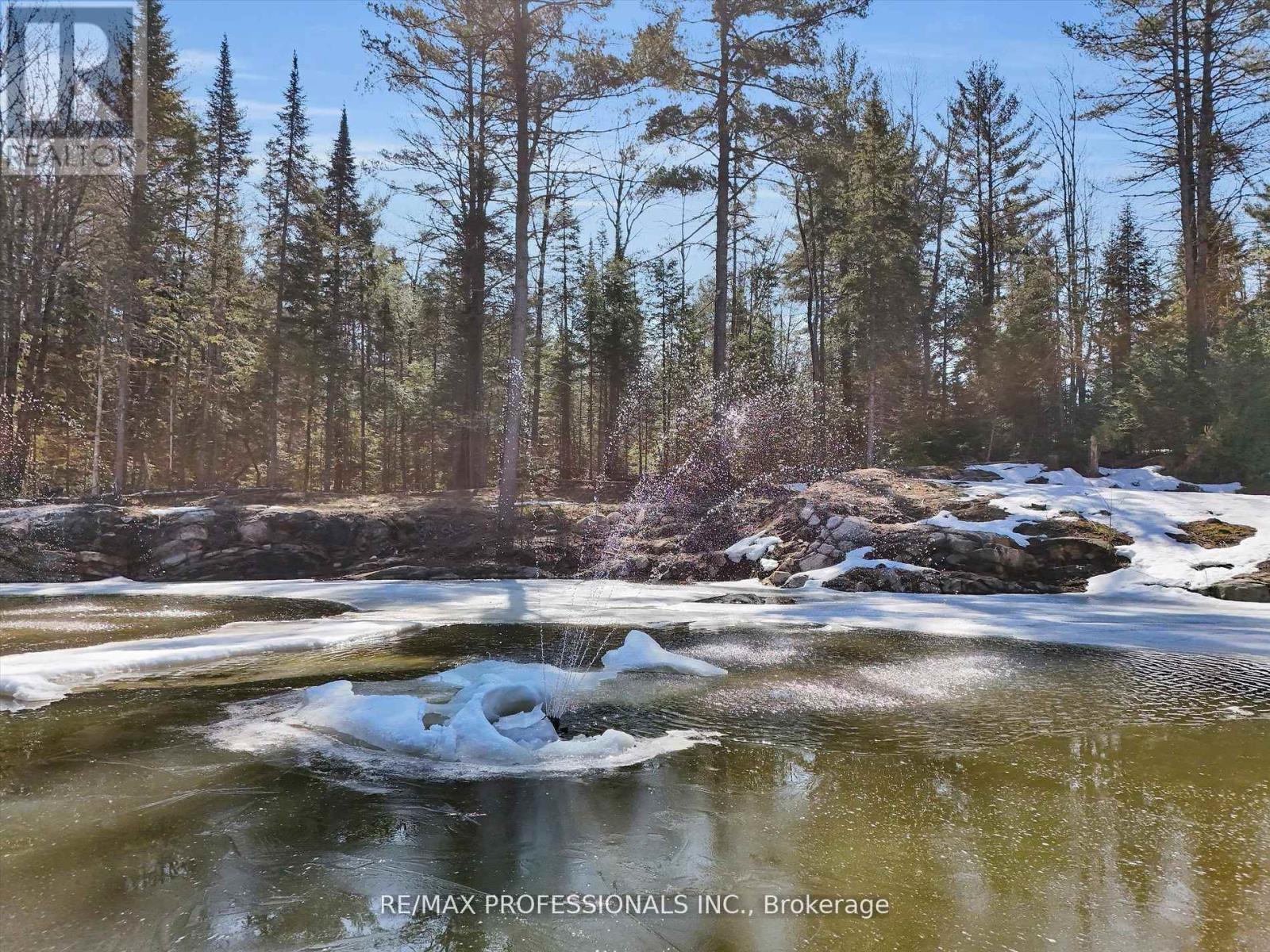 2320 Highway 117, Lake Of Bays, Ontario  P0B 1A0 - Photo 40 - X12651386