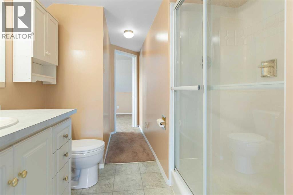 328 6 Avenue N, Champion, Alberta  T0L 0R0 - Photo 27 - A2233364