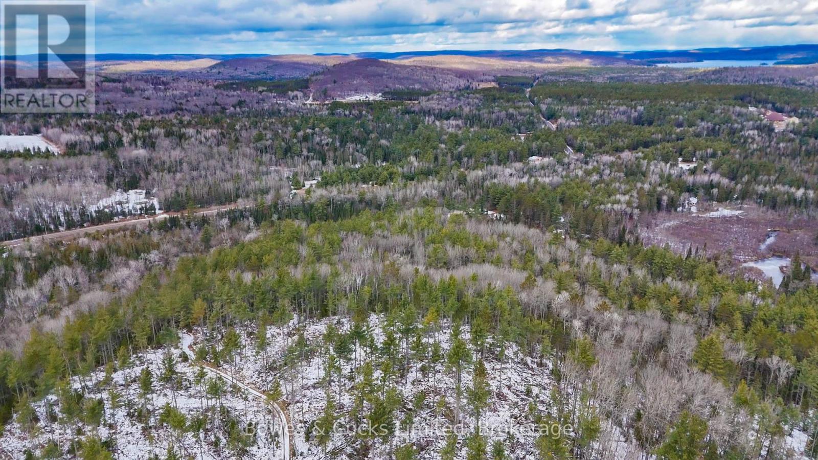 0 Park Road, Hastings Highlands (Wicklow Ward), Ontario  K0L 2R0 - Photo 17 - X12575834