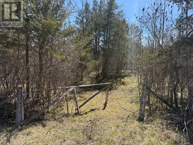 590 Love Road, Loyalist, Ontario  K0H 2H0 - Photo 2 - X12651566