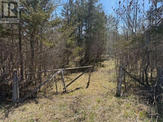 590 Love Road, Loyalist, Ontario  K0H 2H0 - Photo 3 - X12651566