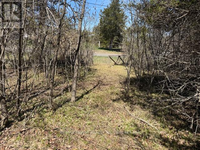 590 Love Road, Loyalist, Ontario  K0H 2H0 - Photo 4 - X12651566