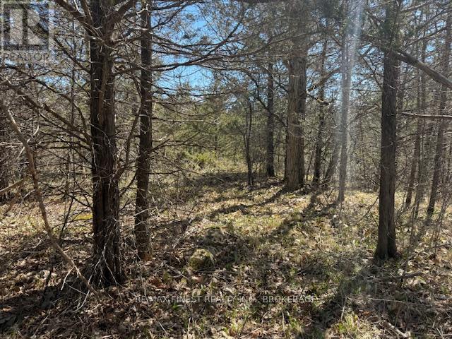 590 Love Road, Loyalist, Ontario  K0H 2H0 - Photo 5 - X12651566