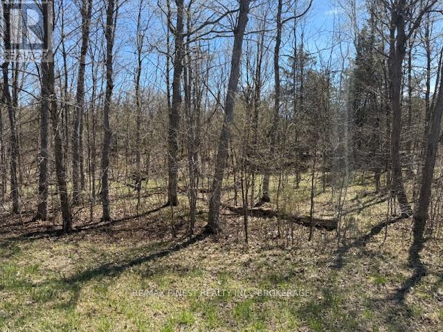 590 Love Road, Loyalist, Ontario  K0H 2H0 - Photo 6 - X12651566