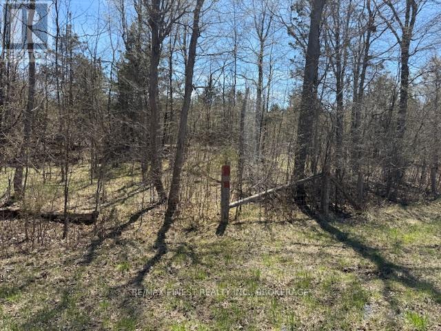 590 Love Road, Loyalist, Ontario  K0H 2H0 - Photo 7 - X12651566