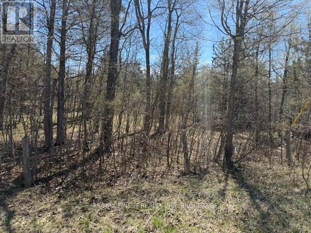 590 Love Road, Loyalist, Ontario  K0H 2H0 - Photo 8 - X12651566