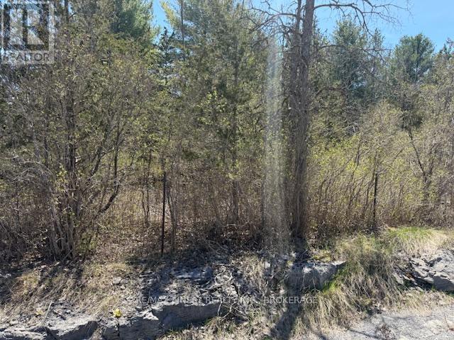 590 Love Road, Loyalist, Ontario  K0H 2H0 - Photo 9 - X12651566