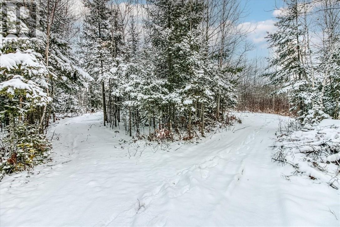 2132 Vermillion Lake Road, Chelmsford, Ontario  P0M 1L0 - Photo 13 - 2125954