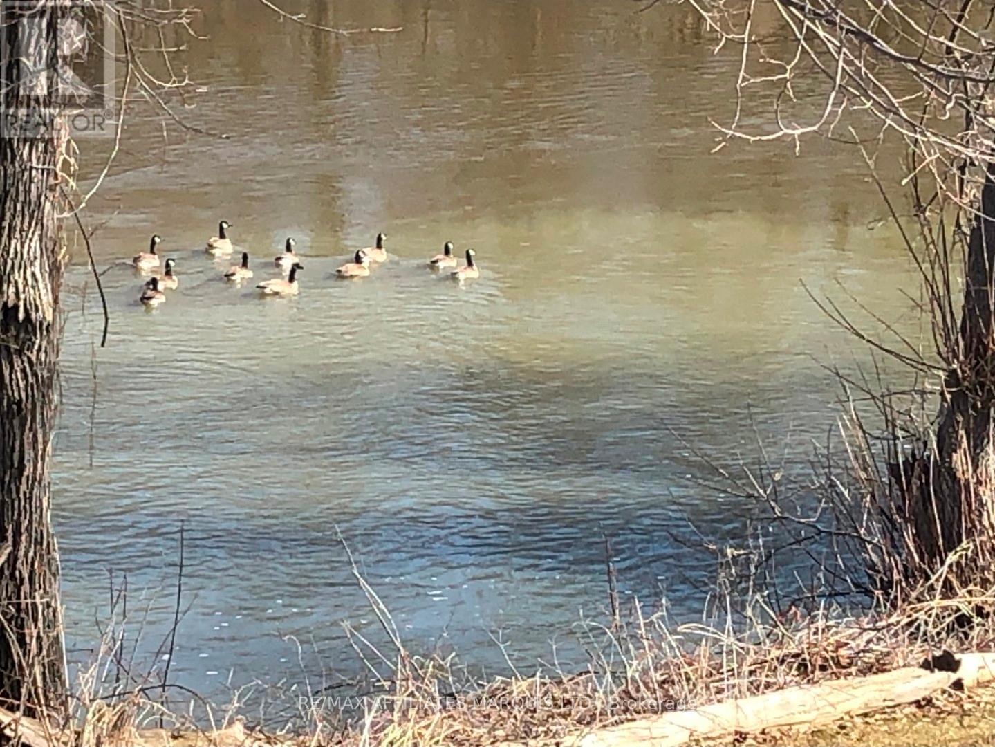 5857 Kraft Road, South Glengarry, Ontario  K0C 2J0 - Photo 28 - X12651708