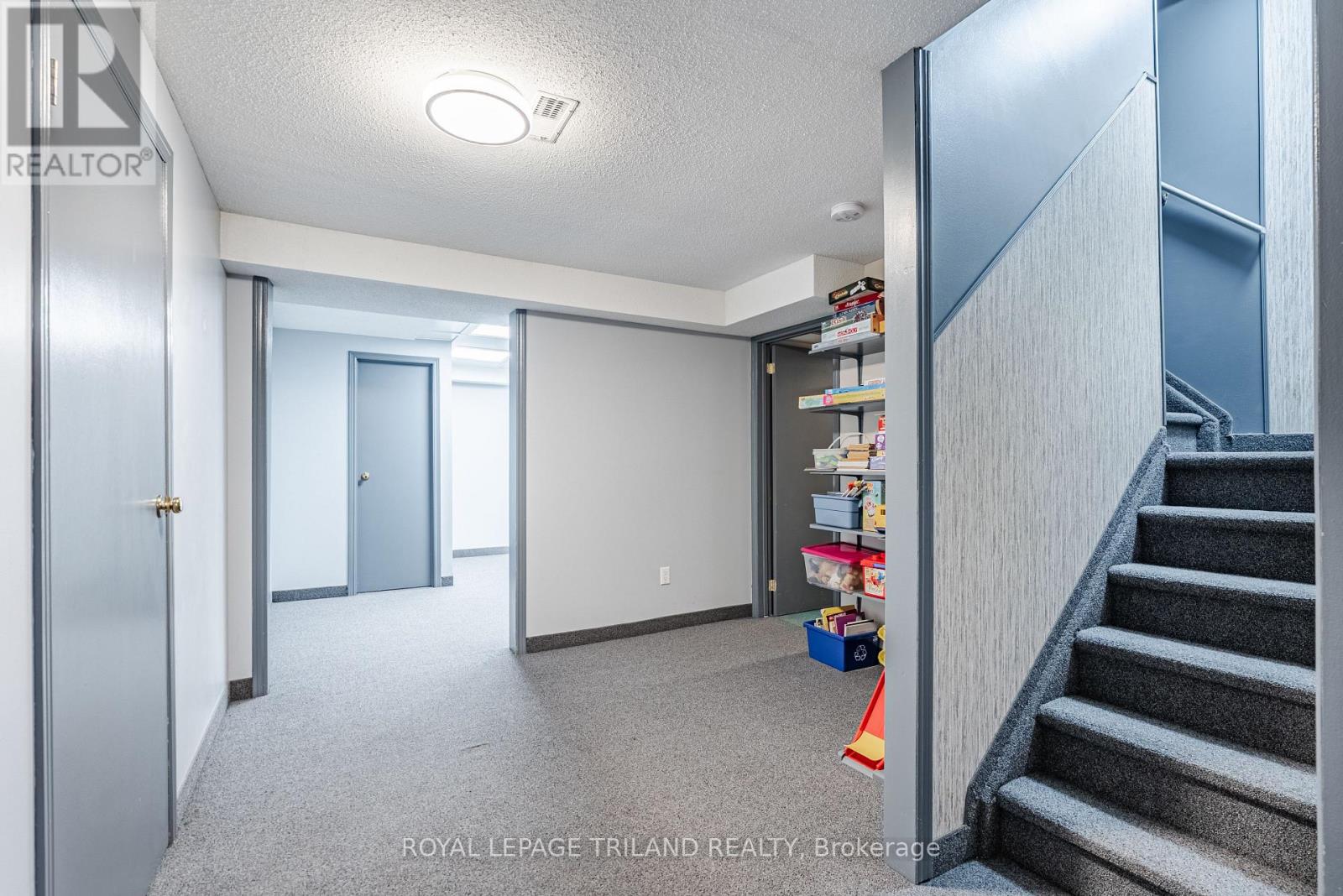 47 Manley Drive, Thames Centre, Ontario  N0L 1G3 - Photo 25 - X12651688