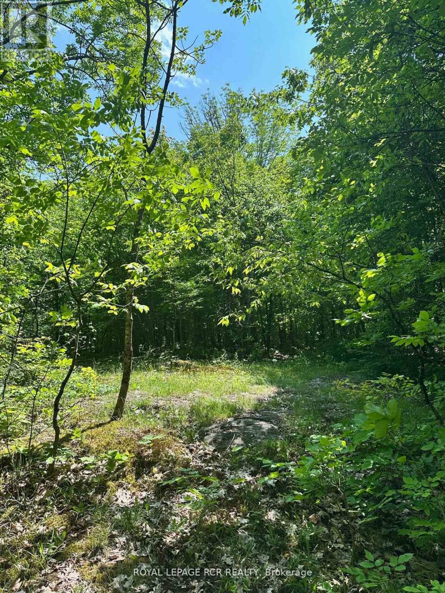 1527 Madill Road, Highlands East, Ontario  K0M 1R0 - Photo 11 - X12651802