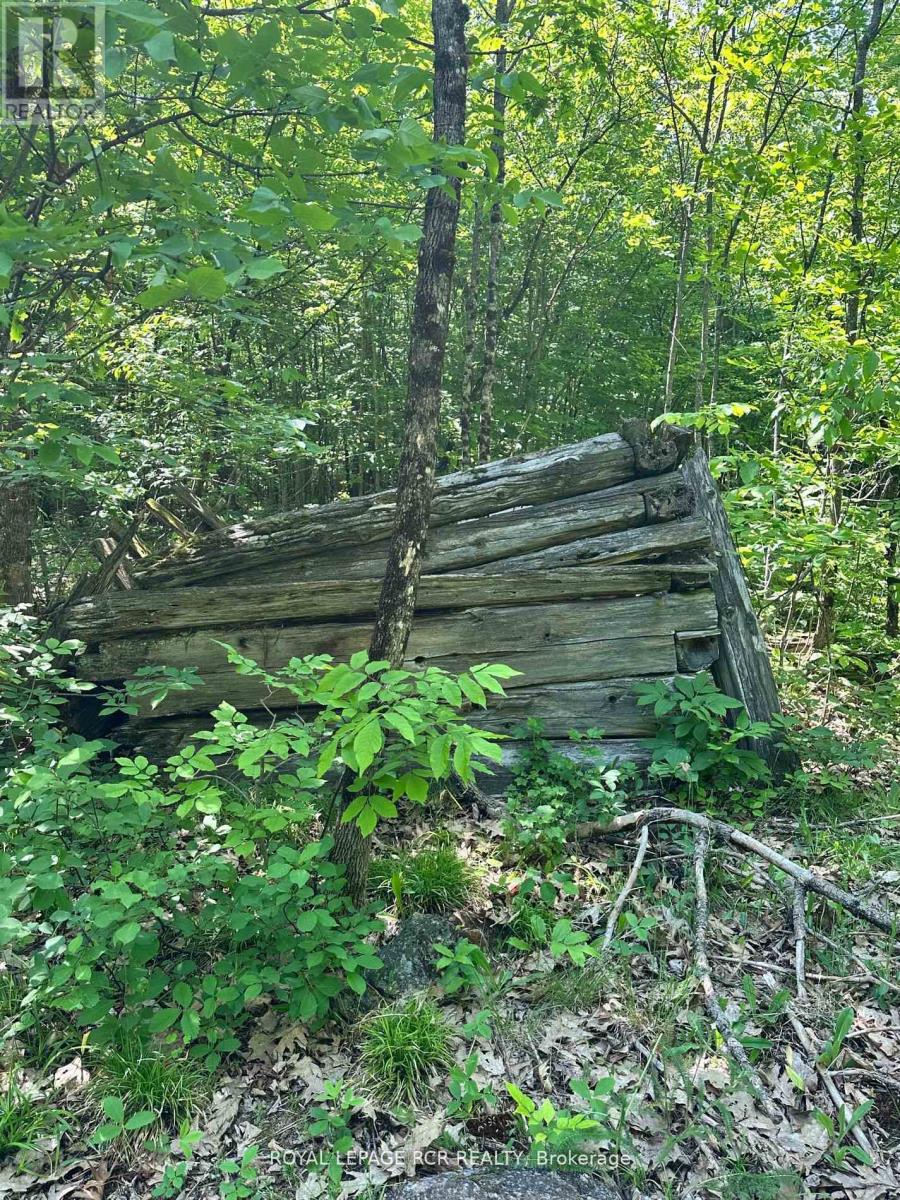 1527 Madill Road, Highlands East, Ontario  K0M 1R0 - Photo 12 - X12651802