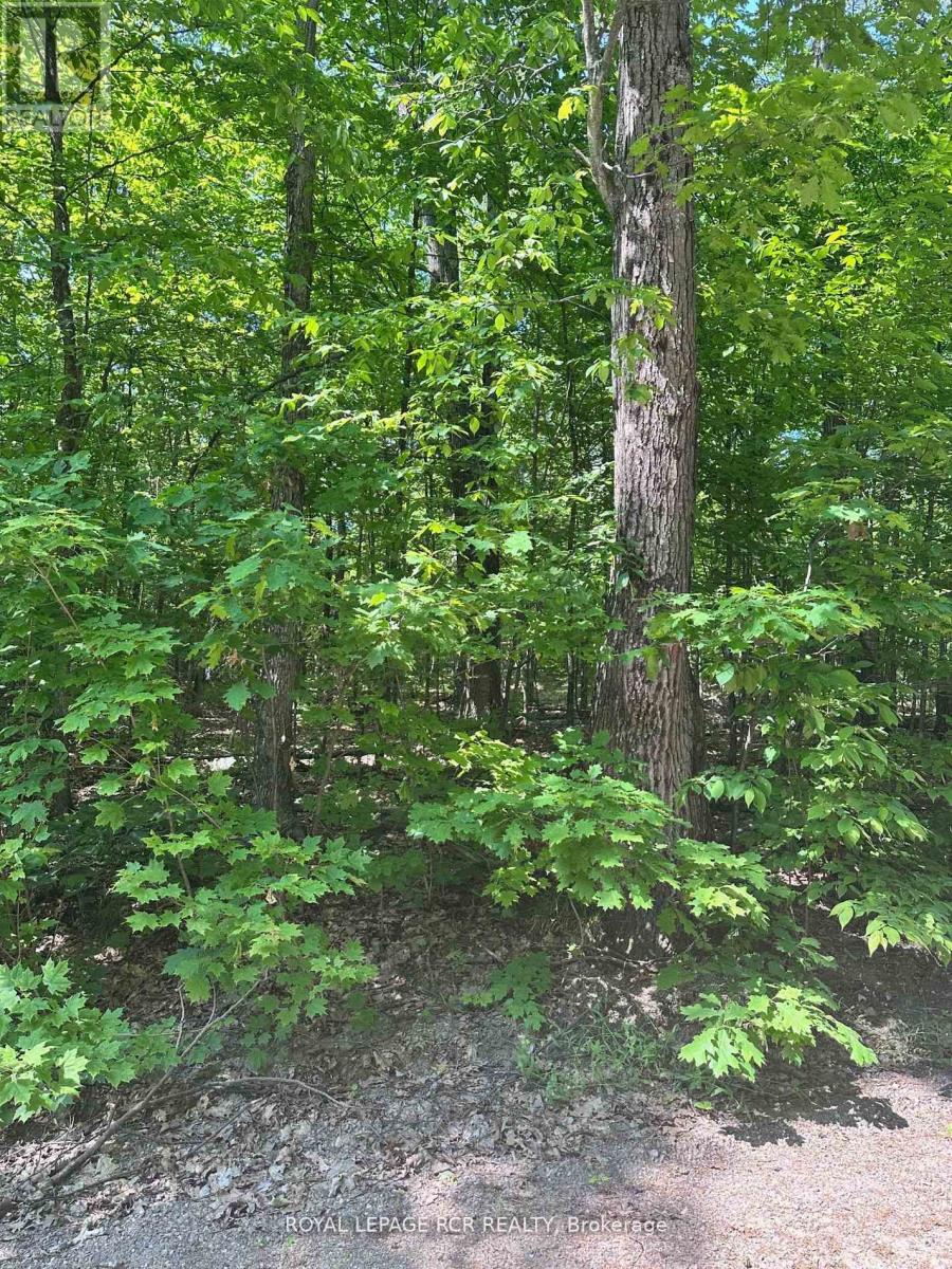 1527 Madill Road, Highlands East, Ontario  K0M 1R0 - Photo 13 - X12651802