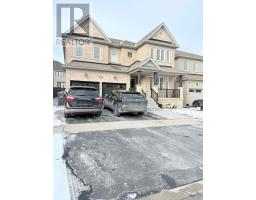 (BASEMENT) - 42 KALMIA ROAD, Brampton, Ontario