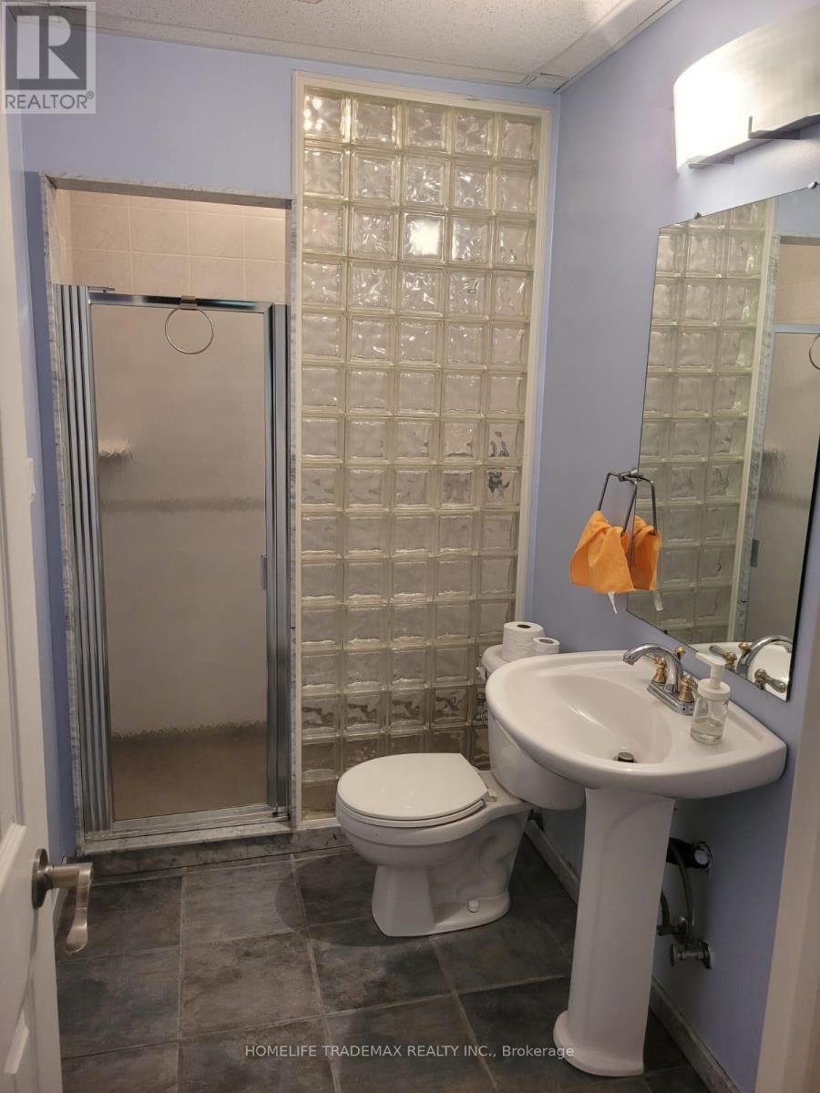 903 Alanbury Crescent, Pickering, Ontario  L1X 2S3 - Photo 42 - E12541362