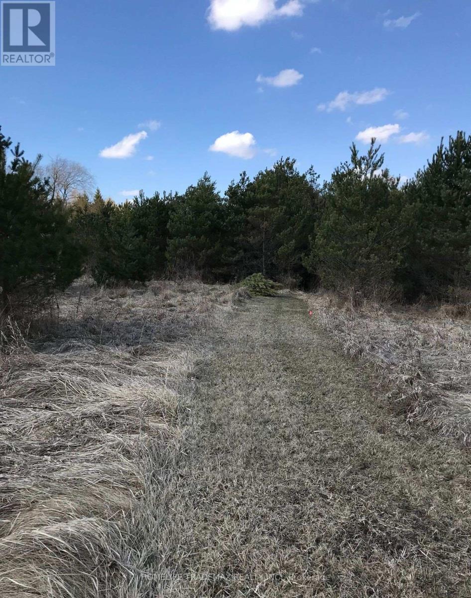 749 Regional Road, Uxbridge, Ontario  L0C 1C0 - Photo 15 - N12538354