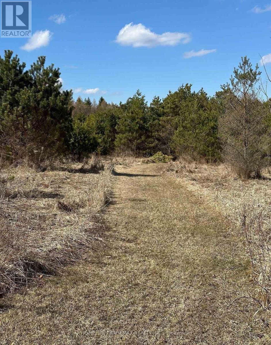 749 Regional Road, Uxbridge, Ontario  L0C 1C0 - Photo 17 - N12538354