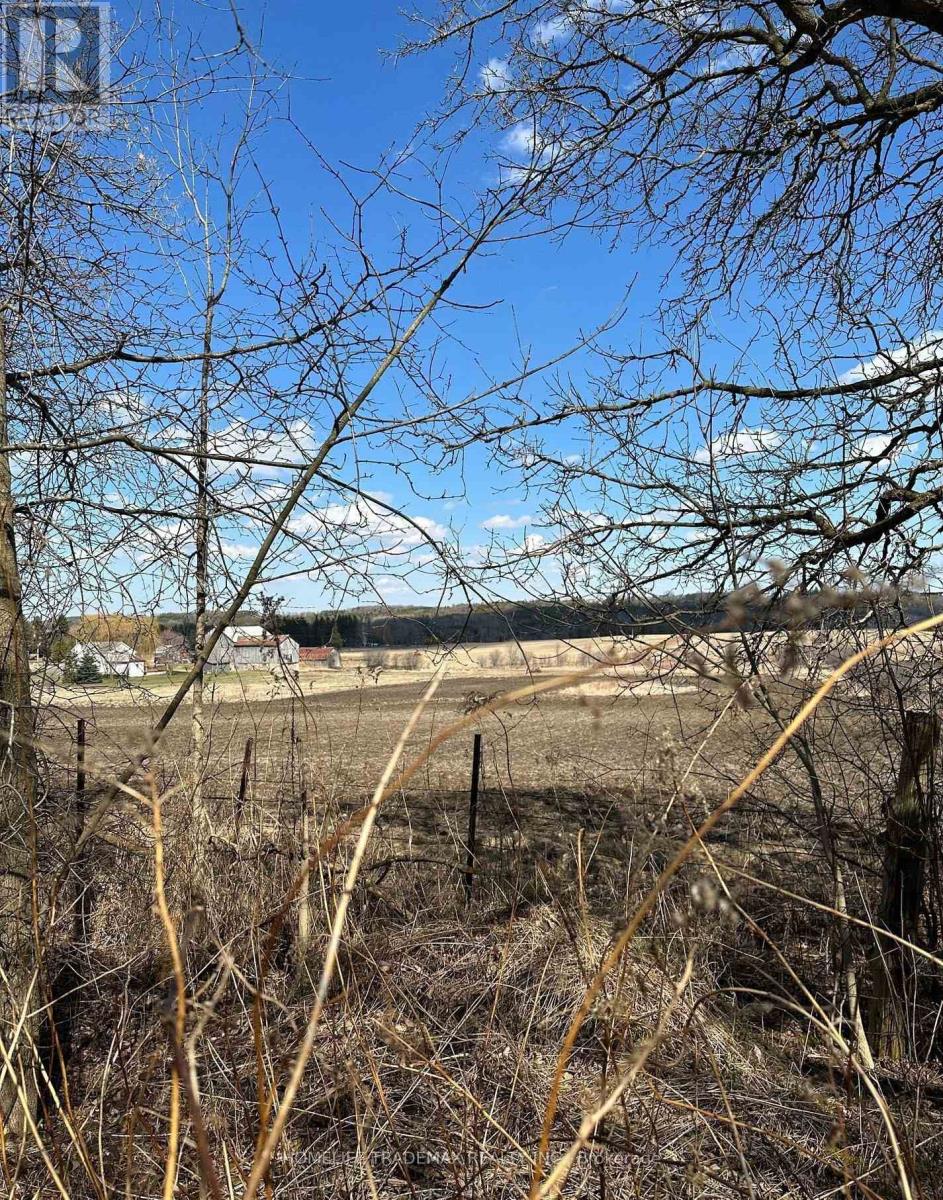 749 Regional Road, Uxbridge, Ontario  L0C 1C0 - Photo 11 - N12538354