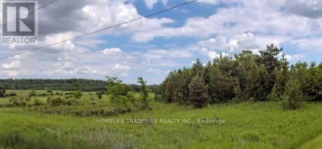 749 Regional Road, Uxbridge, Ontario  L0C 1C0 - Photo 5 - N12538354