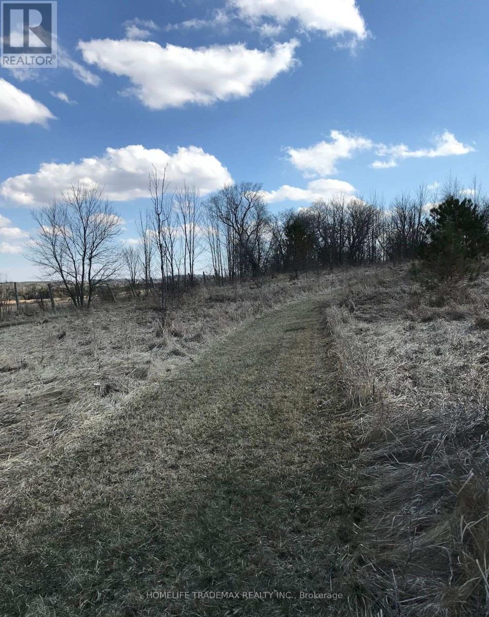 749 Regional Road, Uxbridge, Ontario  L0C 1C0 - Photo 16 - N12538354