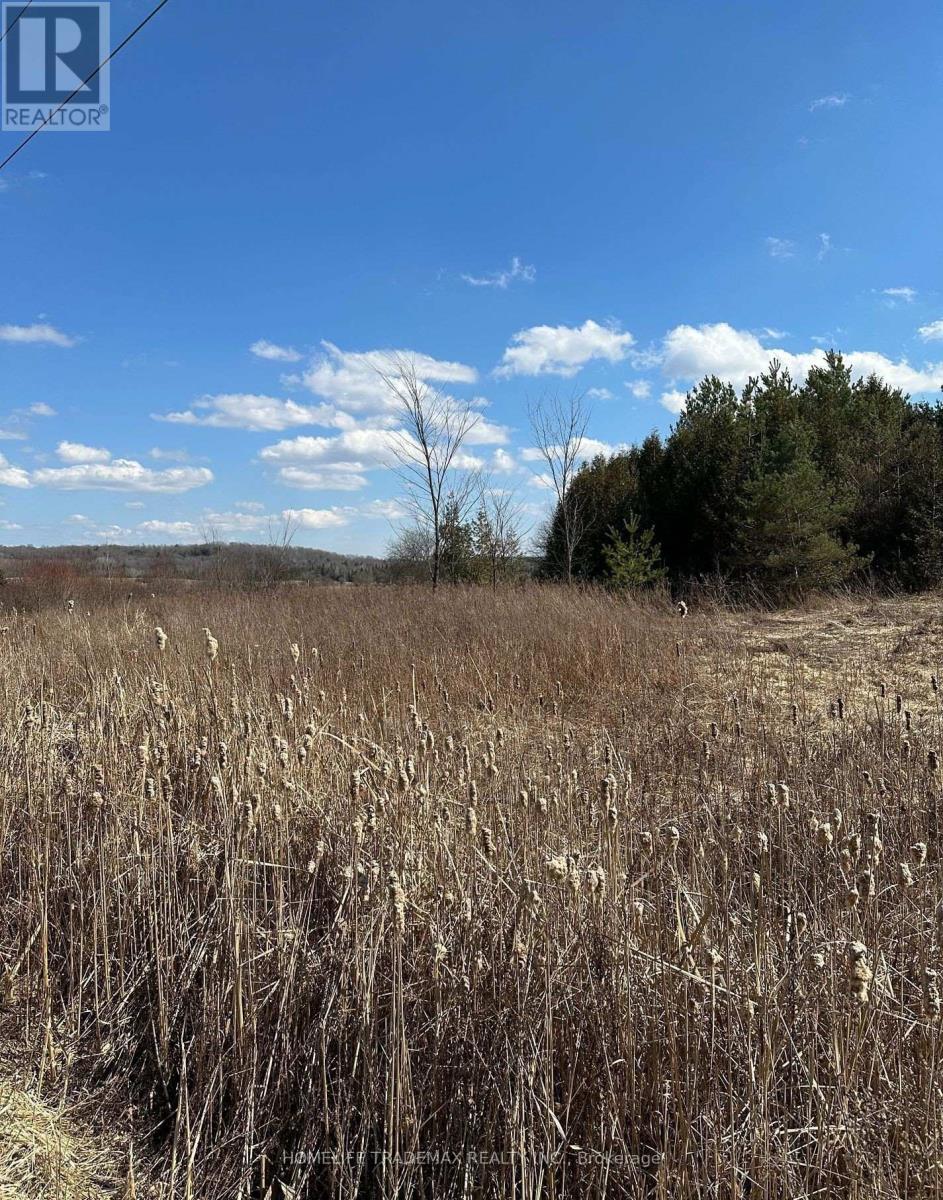 749 Regional Road, Uxbridge, Ontario  L0C 1C0 - Photo 18 - N12538354