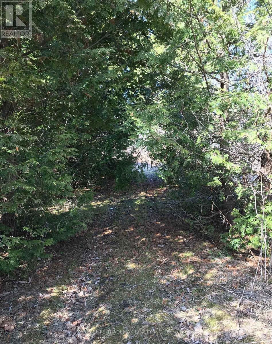 749 Regional Road, Uxbridge, Ontario  L0C 1C0 - Photo 12 - N12538354