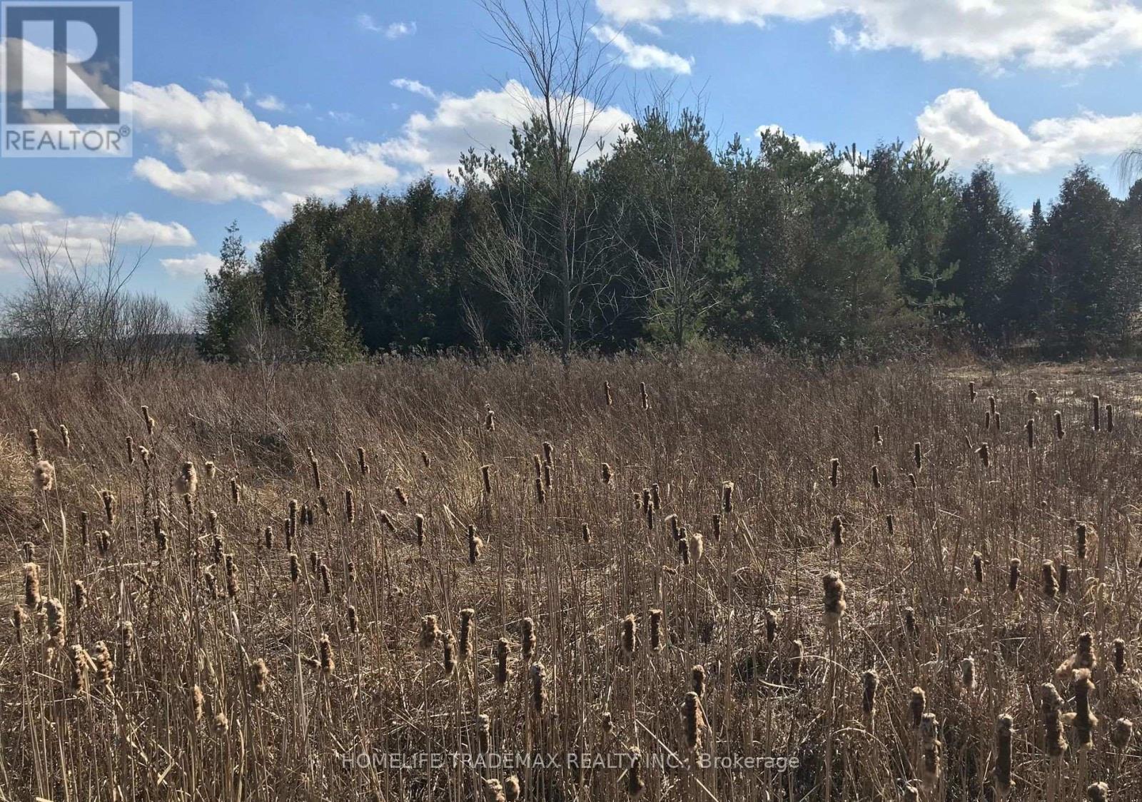 749 Regional Road, Uxbridge, Ontario  L0C 1C0 - Photo 8 - N12538354