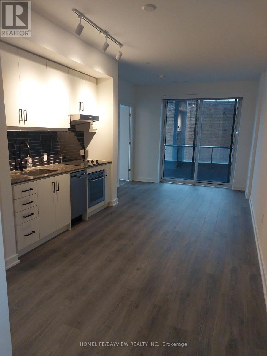 523 - 9 Tecumseth Street, Toronto, Ontario  M5V 3G4 - Photo 4 - C12651912