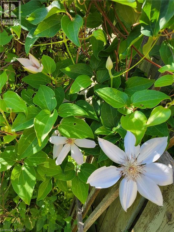 16 Old Oxford Road, St. Catharines, Ontario  L2M 2J9 - Photo 46 - 40795143