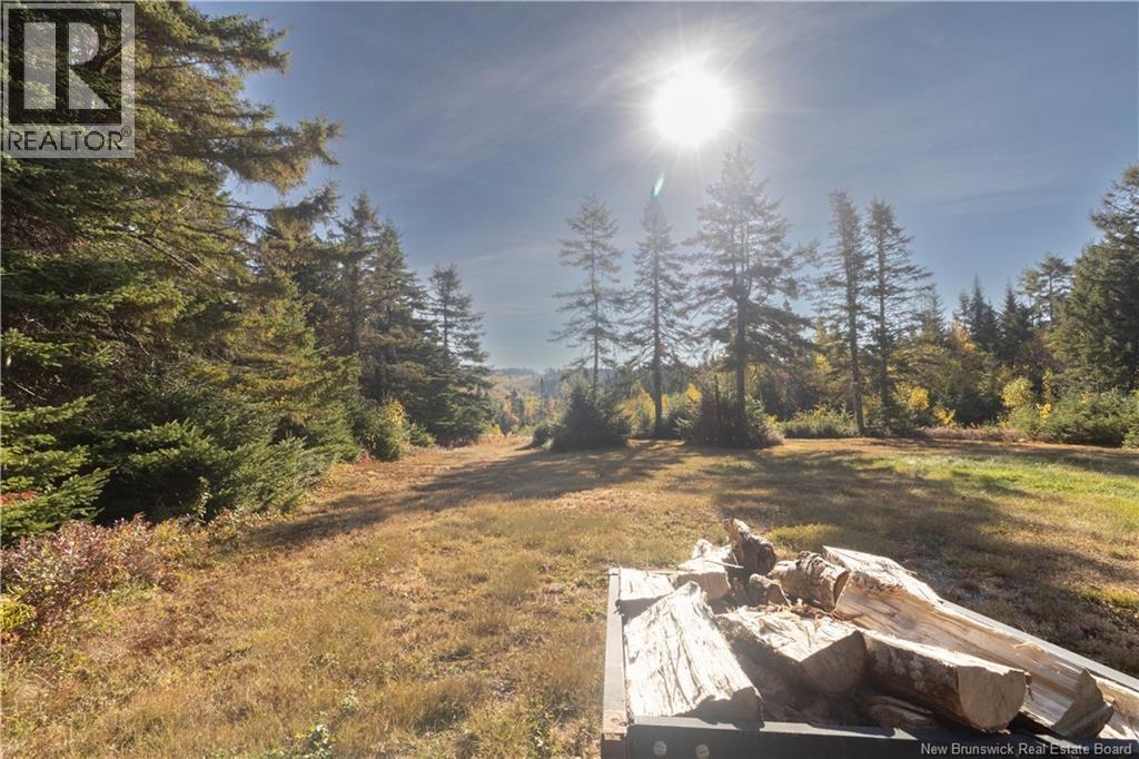 767 Shepody Road, Londonderry, New Brunswick  E4E 0K8 - Photo 40 - NB128018