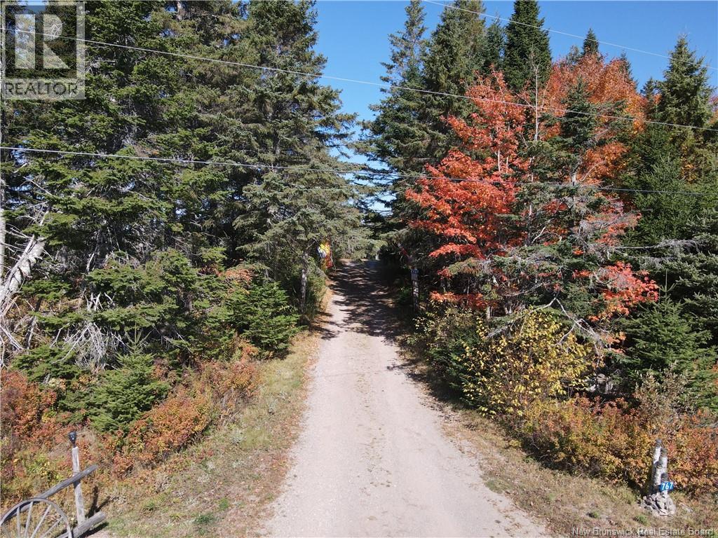 767 Shepody Road, Londonderry, New Brunswick  E4E 0K8 - Photo 45 - NB128018