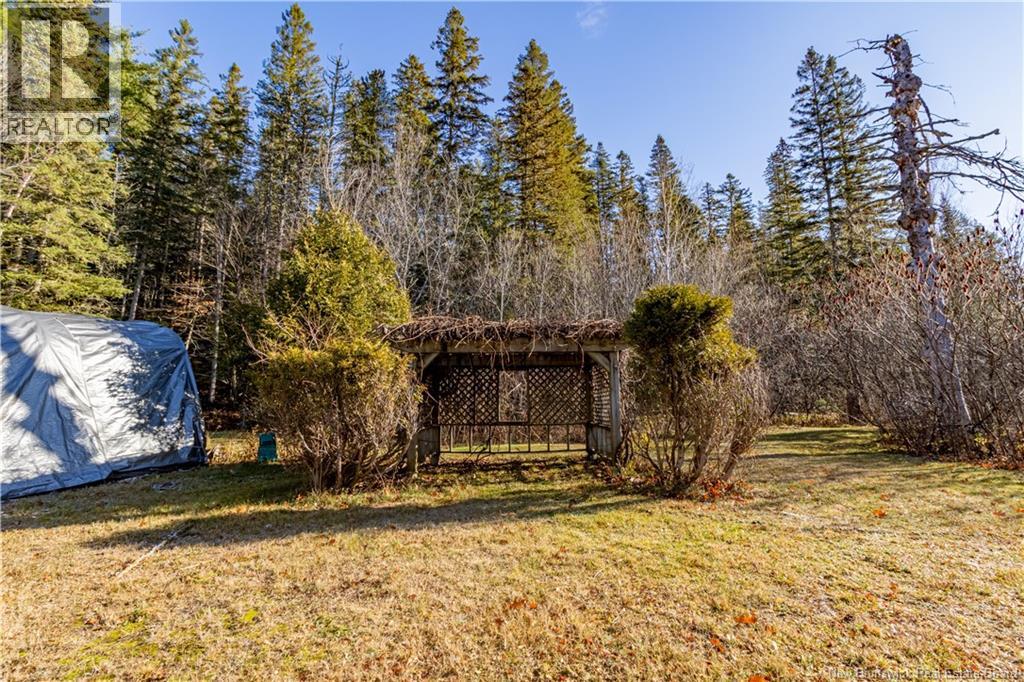 11594 Route 114, Springdale, New Brunswick  E4E 5M8 - Photo 29 - NB129574